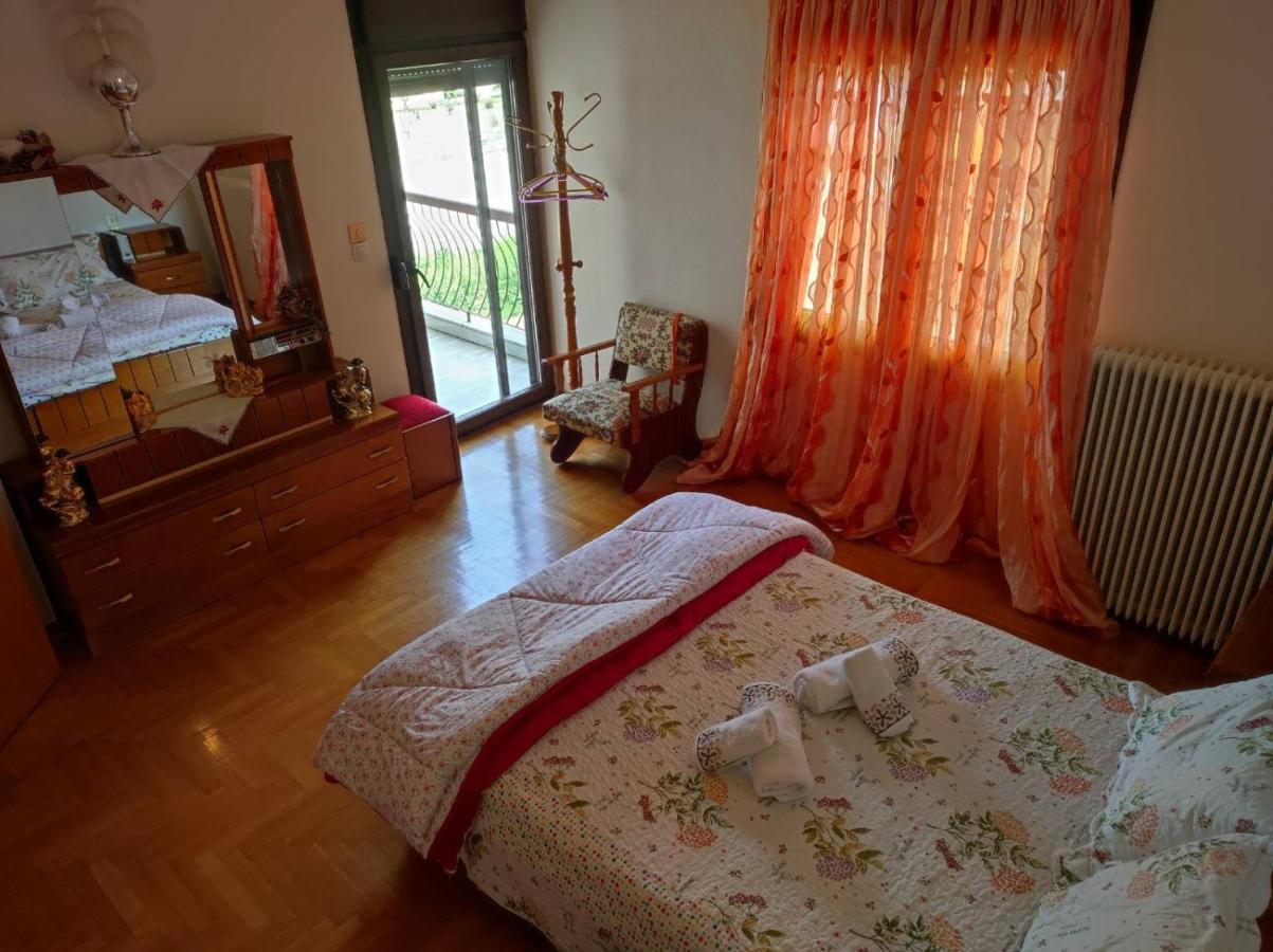 With A View Of Meteora Appartement Diava Buitenkant foto